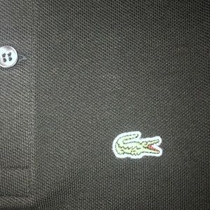 Lacoste Shirts & Tops - Lacoste boys polo sz 12 NEW Lacoste Shirts & Tops - Lacoste boys polo sz 12 NEW
